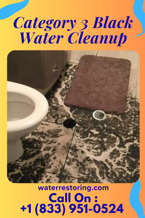 Category 3 Black Water Cleanup in Ventura, NM