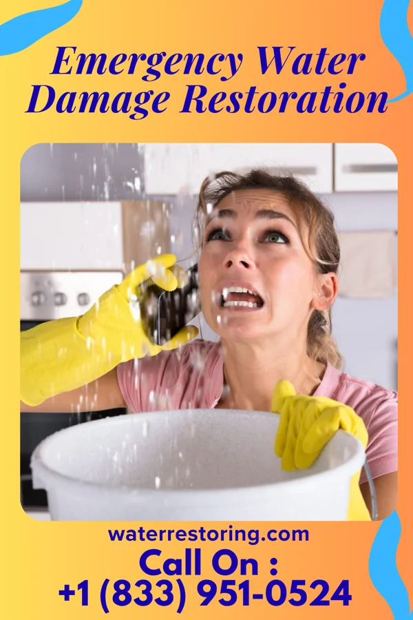 Emergency Water Damage Restoration in Ventura, NM