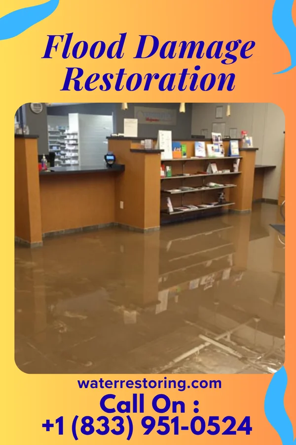 Flood Damage Restoration in Ventura, NM