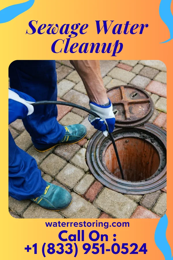 Sewage Water Cleanup in Ventura, NM